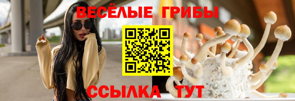 Жигулёвск  Галлюциногенные грибы Cubensis  Вход с VPN 